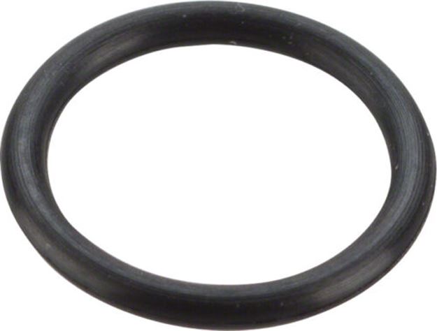 Picture of O-RING BL-M755 FOR BANJO BOLT